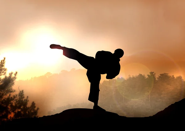 karate-championship-2024