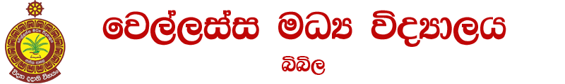 Schoo Logo