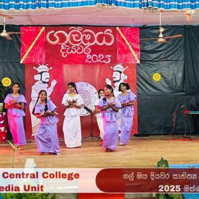 Gal Oya Diyawara Literary And Arts Festival 2025 40