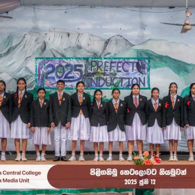 Prefecr1 33