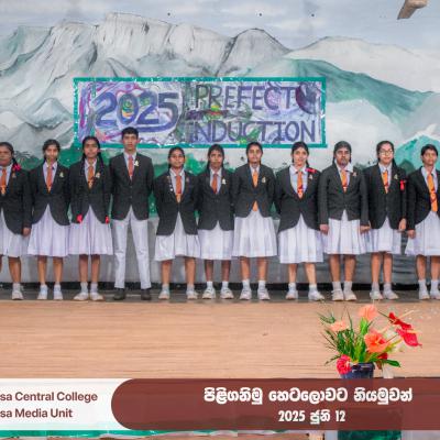 Prefecr1 46